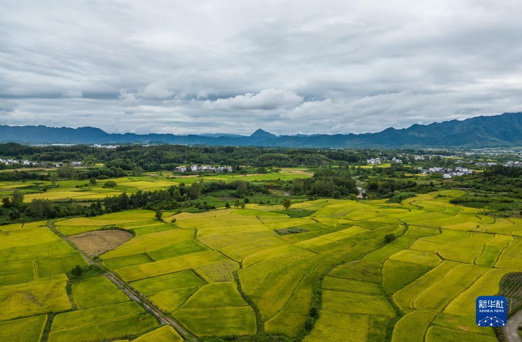 免费申请彩金